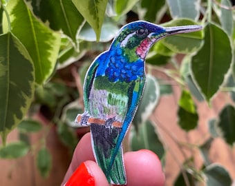 Hummingbird bird brooch