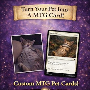 Può includere: Immagine che promuove carte MTG personalizzate per animali domestici. Presenta una foto di un gatto accanto a una carta MTG personalizzata con l'immagine del gatto. La carta è etichettata "Helpful Hunter" e include il testo "When this creature enters the battlefield, draw a card."