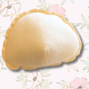 SPLIT SHIPPING Weighted Prosthetic Mastectomy Breast Form Bra Insert