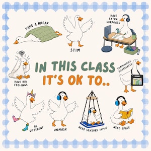 May include: A poster featuring white geese with orange beaks and feet, illustrating various behaviors with text: TAKE A BREAK, STIM, HAVE EXTRA SUPPORTS, HAVE BIG FEELINGS, COMMUNICATE DIFFERENTLY, BE DIFFERENT, UNMASK, NEED SENSORY INPUT, NEED SPACE, IN THIS CLASS IT'S OK TO..
