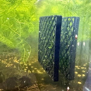 Könnte beinhalten: Eine schwarze Kunststoffgitterstruktur mit rautenförmigem Muster, die in einem Aquarium untergetaucht ist. Der rechteckige Rahmen ist vertikal zwischen hellgrünen Wasserpflanzen und kleinen hellen Kieselsteinen am Boden platziert.