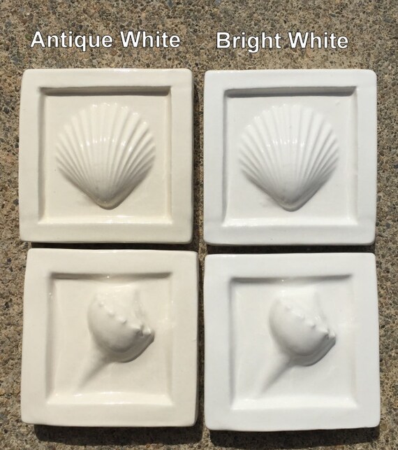 Home Improvement Set B Sand Dollar Three Whelks Three Shells 8 Colors ...