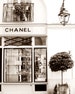 Chanel Boutique-Chanel Wall Art - Portrait Style- Sepia -Fashion Art-Preppy Dorm-Vintage-Dreamy-Paris Nursery-Parisian,French,Paris Travel 