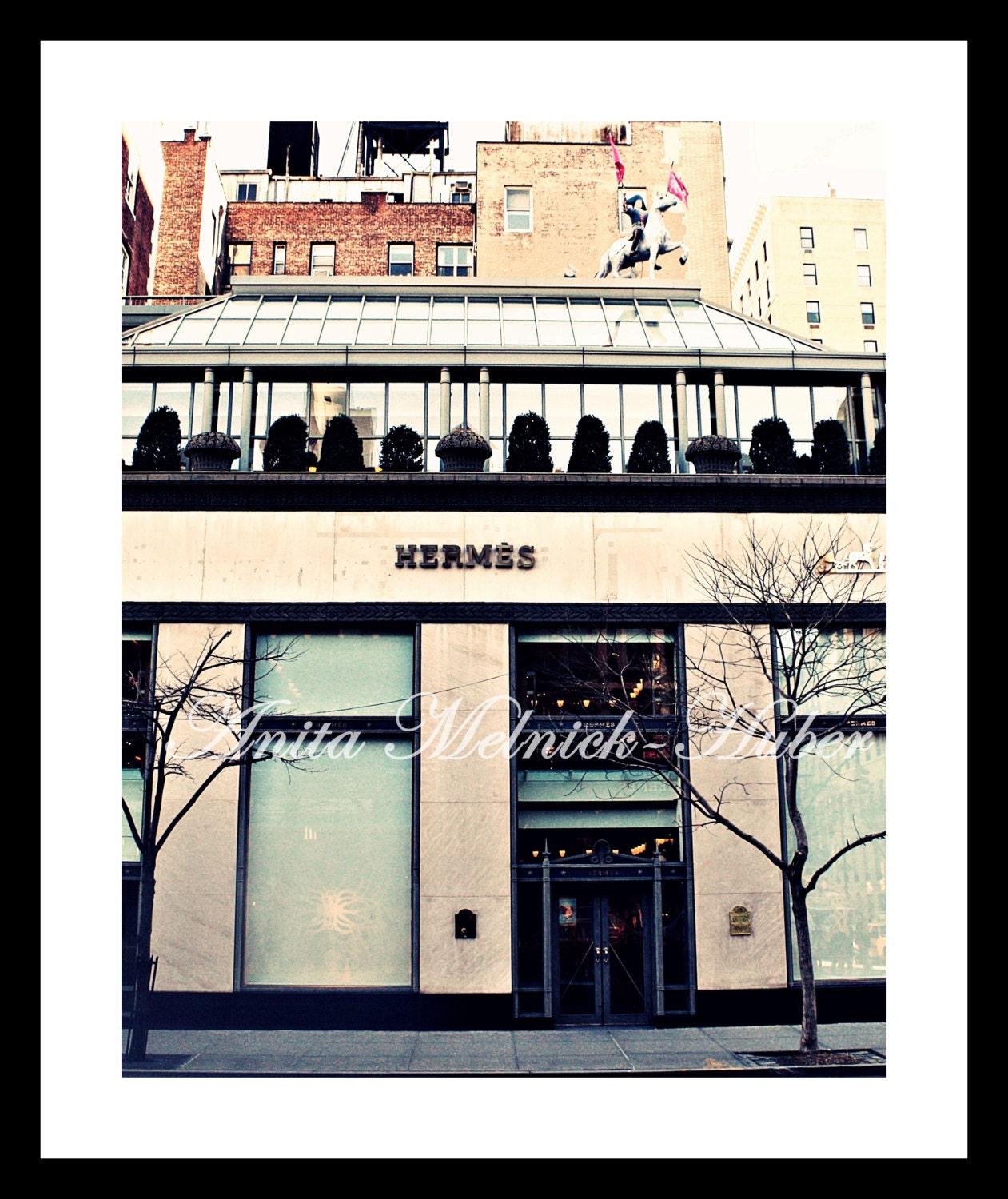 Hermes-new York Art Preppy Photograph-madison Ave 