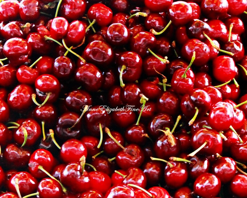 Cherries Food Photography Cherry Red Cherry Photograph image 1