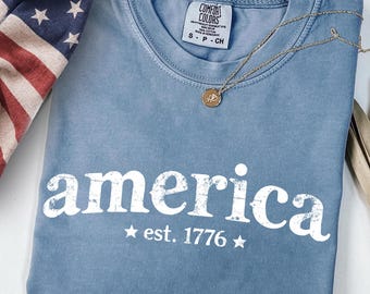 Comfort Colors America Est. 1776 Shirt, 4th of July Graphic Tee,Est 1776 Tee, Independence Day, Spilling The Tea
