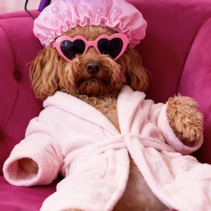 Può includere: Un cane marrone con occhiali da sole rosa a forma di cuore, cuffia per la doccia rosa e accappatoio rosa, seduto su una sedia rosa. Un asciugacapelli viola è sopra la testa del cane. Atmosfera rilassante da spa.