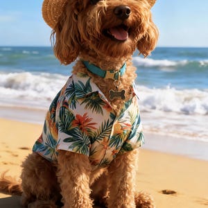 May include: A golden-brown dog wearing a straw hat and a Hawaiian shirt with a tropical floral print. The dog is sitting on a sandy beach with the ocean in the background. The dog has a blue collar with a bone-shaped tag.