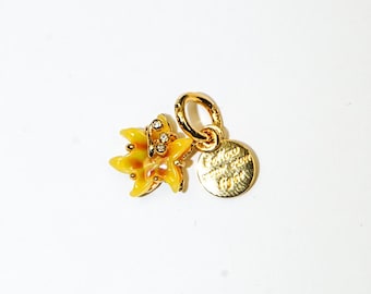 Amuleto luminoso de flor de gota de sol enredada