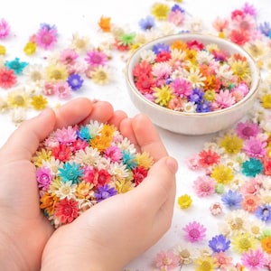 300 Stück Mini Getrocknete Blumen für Harz, kleine echte Getrocknete Blumen Schüttung für Schmuck, Kerzen, Seifenherstellung, Nail Art, DIY Handwerk, Resin Art