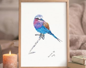 Original Lilac-Breasted Roller Drawing - Hand-Drawn Bird Illustration