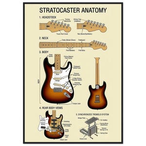 The image is a detailed diagram of the Stratocaster guitar anatomy, including the headstock, neck, body, and various components such as the pickup, strings, frets, and wiring.