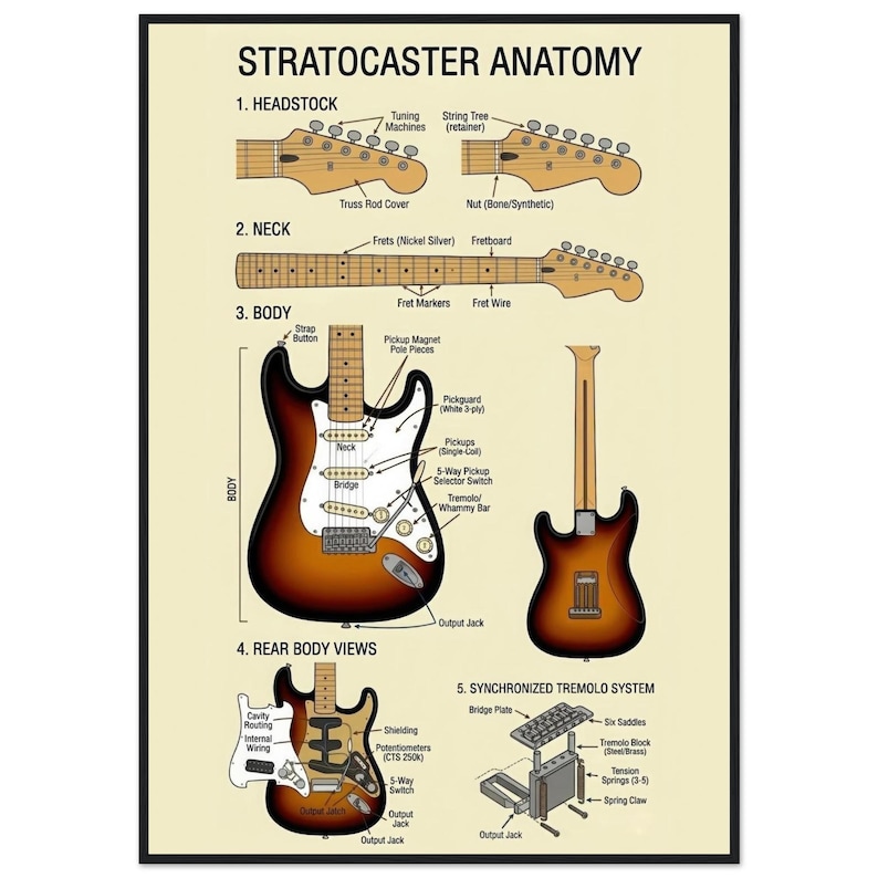 The image is a detailed diagram of the Stratocaster guitar anatomy, including the headstock, neck, body, and various components such as the pickup, strings, frets, and wiring.