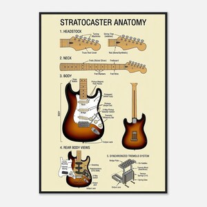The image is a poster or diagram that illustrates the anatomy of a Stratocaster guitar, including the headstock, neck, body, and various components.