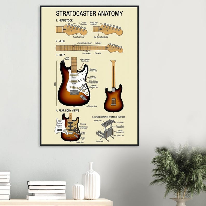 The image is a poster of the Stratocaster anatomy, featuring detailed illustrations and explanations of the various components of a Stratocaster guitar.