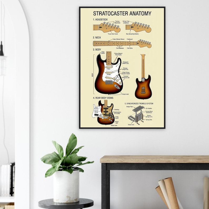 a wall-mounted poster of the Stratocaster anatomy, including the headstock, neck, body, and various components of the guitar.