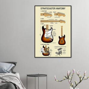 The image is a framed poster of the Stratocaster anatomy, featuring detailed illustrations and labels of the various components of a Stratocaster electric guitar.