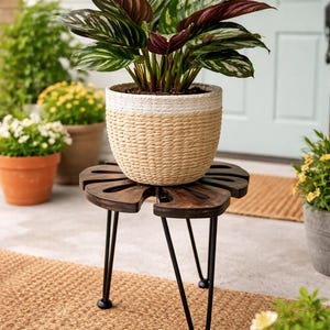 May include: A potted Calathea plant with green and burgundy leaves sits on a dark wood plant stand with black metal legs. The woven basket pot has a white top. The stand is on a woven mat.