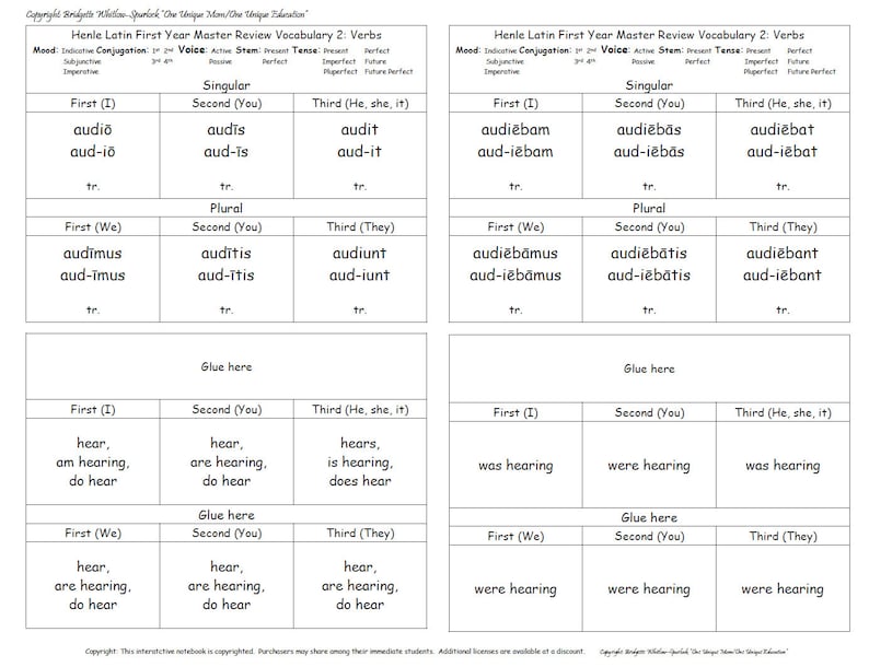 Henle Latin First Year Interactive Notebook Part 1 challenge Etsy