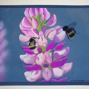 Kisses From The Bees-giclee print of my original pastel drawing, signed and numbered 8x5 or 10x8 inches,picture,art,UK artist