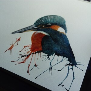 Martin-pêcheur d&#39;aquarelle signé estampes, faune britannique, art, animaux, oiseaux, anglais, cadeau, cadeau, Noel, anniversaire