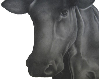 Cow giclee print signed - 7x5 of my original drawing, art, animals, picture, artwork, British artist