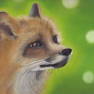 Fox-giclee print, signed and numbered 8x6 inches, animals, picture,art,UK artist, wildlife available for commissions, custom