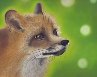 Fox-giclee print, signed and numbered 8x6 inches, animals, picture,art,UK artist, wildlife available for commissions, custom