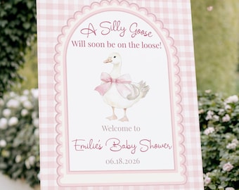 Silly Goose baby shower welkomstbord sjabloon, bewerkbare afdrukbare coquette meisje roze pastel strooi poster, canvas instant digitale download
