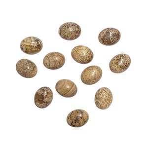 May include: A collection of eleven oval-shaped stones with a speckled, earthy color palette. The stones vary in shades of tan, brown, and beige, with unique patterns and textures. The arrangement is scattered against a plain white background.