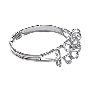 May include: A silver ring with a floral design. The ring features a band with a double-layered design and a series of small, flower-shaped accents clustered together. The ring is set against a white background.