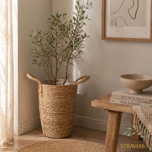 May include: A tall, woven basket planter with two handles, holding a leafy green plant. The basket is made of natural-colored fibers and sits on a woven mat. The scene is set in a well-lit corner, with a wooden side table and artwork in the background.