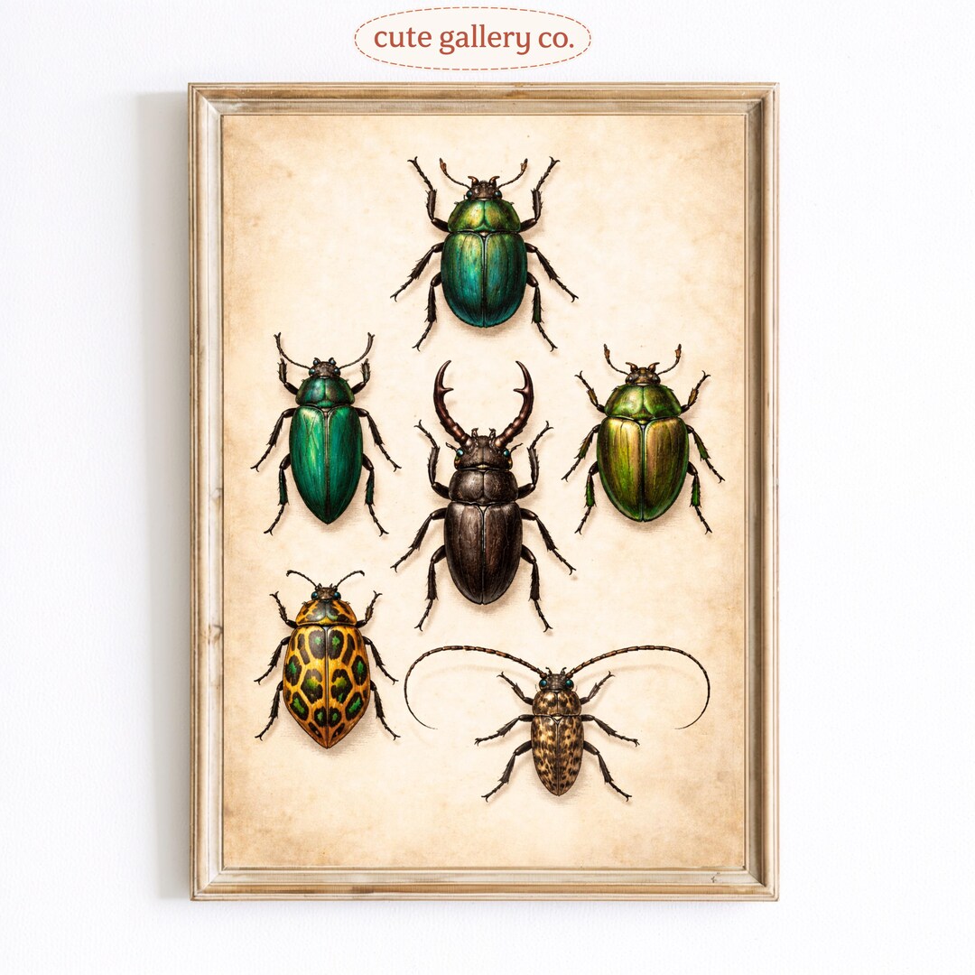 Vintage Beetle Illustration Poster, Entomology Wall Art Print, Dark ...