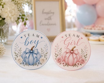 May include: Two circular signs for a gender reveal party. The left sign is white with blue text reading Team boy and a blue pumpkin with a bow. The right sign is pink with pink text reading Team Girl and a pink pumpkin with a bow.