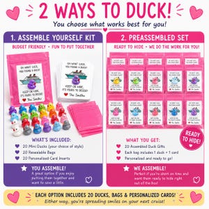 Puede incluir: Una presentaci&oacute;n de producto con dos opciones para kits de patitos de crucero. El lado izquierdo muestra un kit para ensamblar con 20 mini patos de goma, 20 bolsas rosas resellables y 20 tarjetas personalizadas. El lado derecho muestra 20 bolsas de regalo preensambladas.