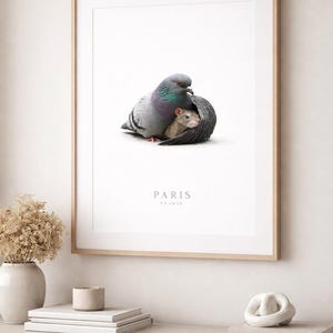 May include: Framed art print featuring a pigeon embracing a small rodent. The pigeon has iridescent feathers, and the rodent is nestled within the pigeon's wing. The print has the word "PARIS" and "FRANCE" printed at the bottom.