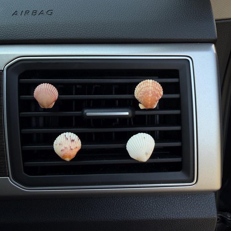 Beachy Car Clip - Etsy