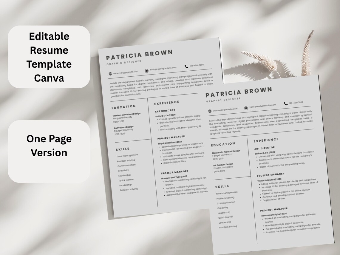 Editable Resume Template Canva, ATS Friendly Professional CV (instant ...