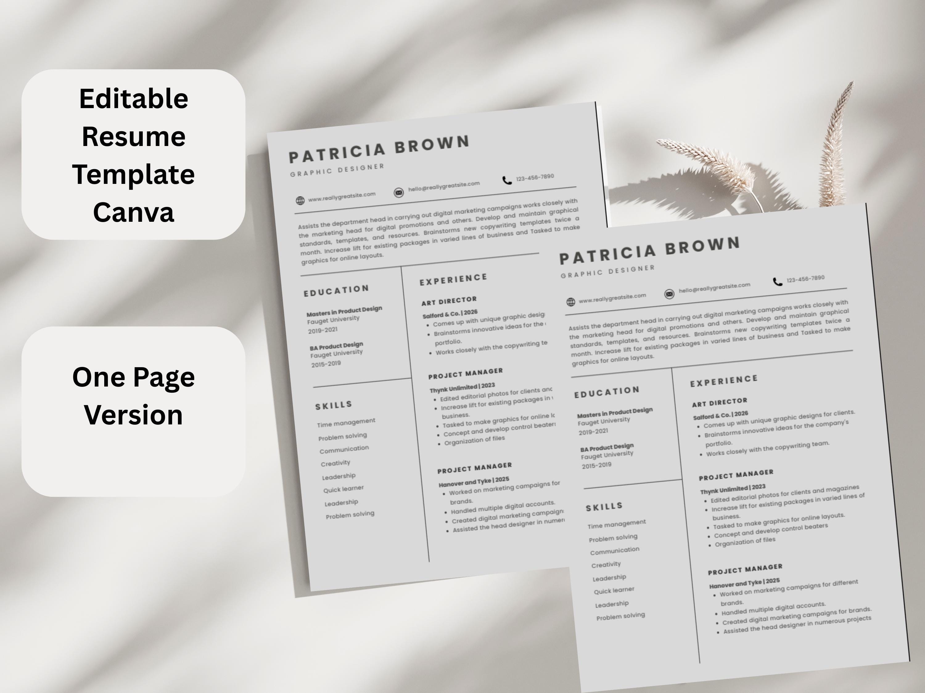 Editable Resume Template Canva, ATS Friendly Professional CV (instant ...
