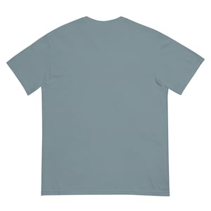 Houston Dash Blast off garment-dyed heavyweight t-shirt
