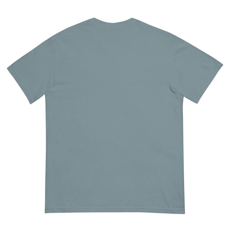 Houston Dash Blast off garment-dyed heavyweight t-shirt