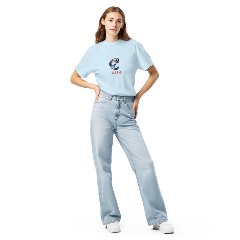 Houston Dash Blast off garment-dyed heavyweight t-shirt