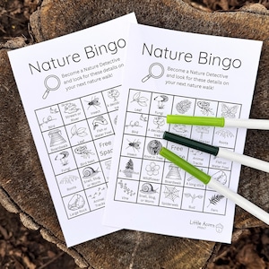 May include: Two white Nature Bingo cards with black illustrations and text, including a magnifying glass, bird, insect, and leaf. The text reads "Become a Nature Detective." Three green and white markers are on the cards.
