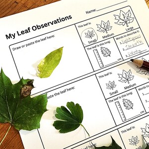 May include: A white educational worksheet titled My Leaf Observations with sections to draw or paste leaves, select size, measure length in cm, and write descriptive words. A green leaf is pasted on the page, with handwritten text light green, smooth, and pointy.