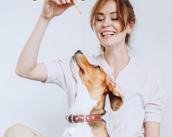 Homemade Dog Treats Recipe Book PDF Spanish Natural Snacks Digital Download