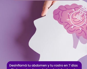 Anti-Cortisol Guide Ebook PDF Spanish Reduce Stress Reduce Inflammation Digital Download