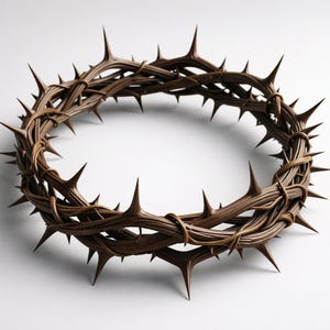 Pode incluir: Uma coroa de espinhos castanha, uma disposição circular de ramos espinhosos. Os espinhos são afiados e pontiagudos, e os ramos estão entrelaçados. A coroa é um símbolo de significado religioso.