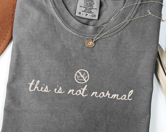 Radicalized By Basic Decency, Big Fan of Human Rights, Chinga la migra, Fuck Ice Shirt, La Migra Shirt, No Kings Shirt, Anti Trump Shirt