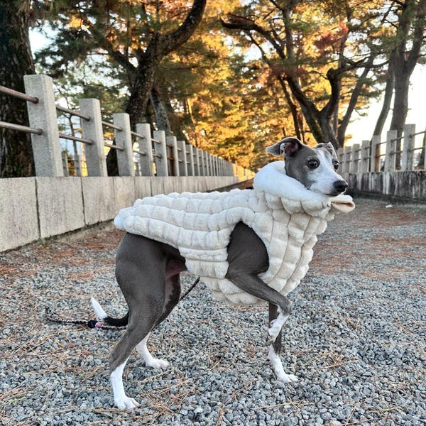 Italian Greyhound Winter Vest – Deep Chest Fit, Lightweight & Warm