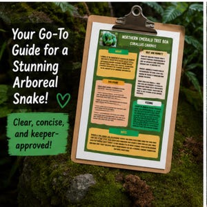 May include: A wooden clipboard holding an informational sheet about the Northern Emerald Tree Boa, Corallus caninus. The document features sections titled About, Heat and Humidity, Enclosure, Feeding, and Notes, with text and a snake image.